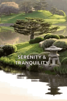 Zen Nature GIF - Zen Nature Serenity Tranquility GIFs