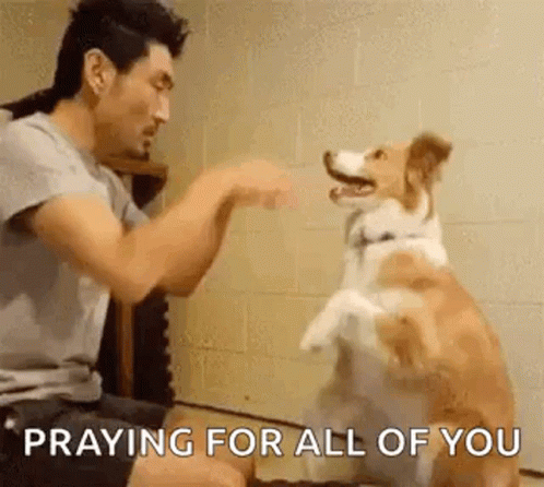 dogs praying