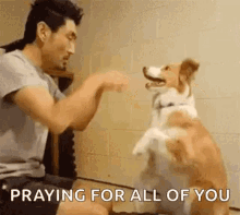 Dogs Dog Tricks GIF - Dogs Dog Tricks Let Us Pray GIFs