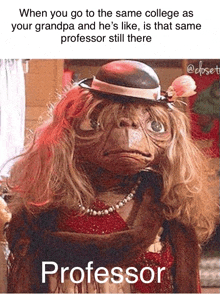 a picture of a monkey wearing a hat and a necklace with the caption " professor still there "