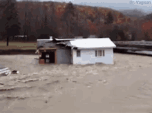 House Flood GIF - House Flood Deluge GIFs