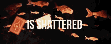 a group of fish are swimming around playing cards that say is shattered