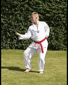 Toft Taekwondo GIF - Toft Taekwondo Seb GIFs