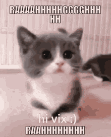 Hi Vix Vix GIF - Hi Vix Vix Vixian GIFs