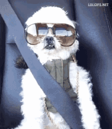 Chill Recovery GIF - Chill Recovery Dog GIFs