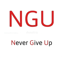 a poster that says " ngu never give up "