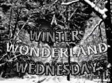 Wednesday Snow Winter Wednesday GIF - Wednesday Snow Winter Wednesday Brr GIFs