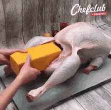 cursed chicken