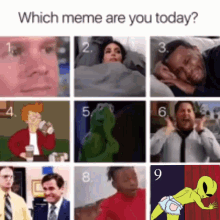 Which One Are You Choose GIF - Which One Are You Choose GIFs