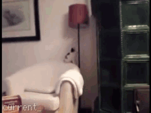 Almost There... GIF - Cats Kittens Fail GIFs