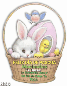 pascua conejo happy easter easter sunday easter egg