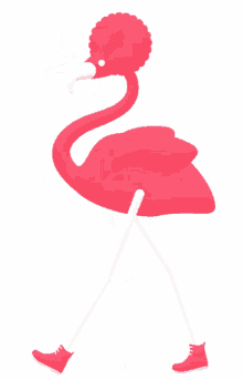 flamingo feed me motion pink afro walk