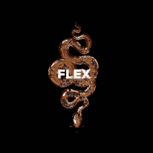 Flex Gold GIF - Flex Gold Boast GIFs