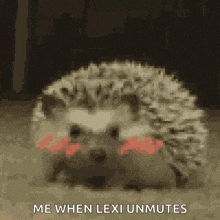 Hedgehog Blush GIF