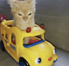 a kitten is sitting on top of a yellow school bus toy .