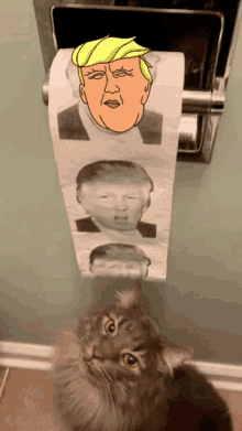Trump Toilet Paper GIF - Trump Toilet Paper Trump Poop GIFs