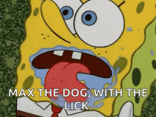 Max The GIF - Max The Dog GIFs