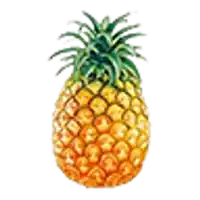 a pineapple on a white background with a green stem