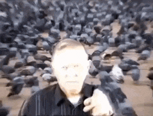 a man is pointing at the camera while a flock of pigeons are flying in the background .