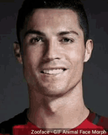 Ronaldo Cristiano GIF - Ronaldo Cristiano Cr7 GIFs