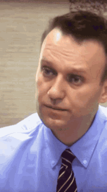 Okay Navalny GIF - Okay Navalny Ok GIFs