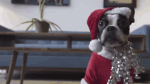 Tha Cutest Lil Christmas Pup GIF - Dog Santa Claus Christmas GIFs