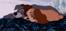 Moments With Bae GIF - Lady And The Tramp Cuddle GIFs