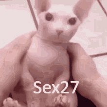 Sex27 GIF - Sex27 GIFs