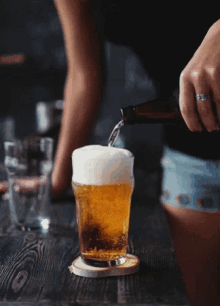 Beer Day Pour GIF