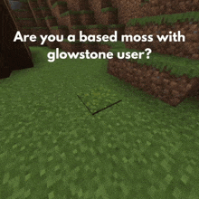 a picture of a torch in a video game with the words " or a filthy ground torch degenerate "