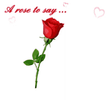 Hearts A Rose To Say GIF - Hearts A Rose To Say I Love You GIFs