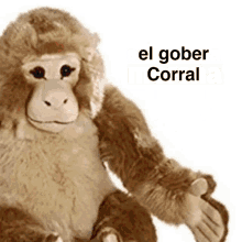 Corral GIF - Corral GIFs