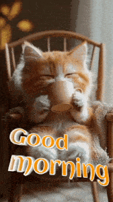a cat is sitting in a chair holding a cup of coffee and saying good morning