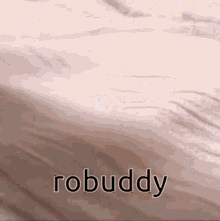 Robuddytbh GIF - Robuddytbh Robuddy GIFs
