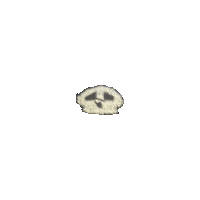 a small skull with a smiley face on it