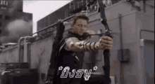 ยิงธนู ฮอว์กอาย GIF - Clint Barton Archery Shooting Arrows GIFs