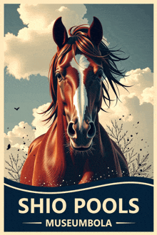 a poster for shio pools museum bola shows a horse
