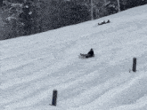 two people are sliding down a snow covered hill .