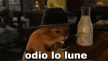 a cat wearing a cowboy hat is drinking milk from a bottle .