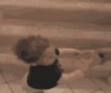 Baby Stairs GIF
