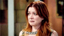 Himym Pause GIF - Himym Pause How I Met Your Mother GIFs