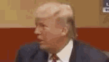 Trump Ryan GIF - Trump Ryan Dog GIFs