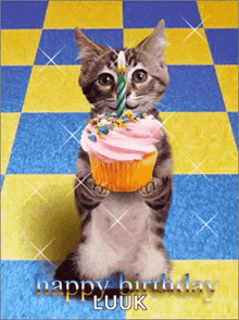 Happy Birthday Cat Cat GIF - Happy Birthday Cat Cat Birthday GIFs