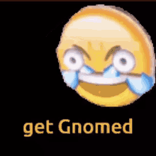 youve been gnomed laughing hysterically get gnomed
