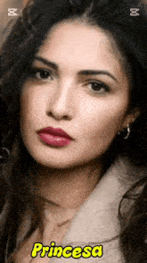 a close up of a woman 's face with the word princesa on the bottom right