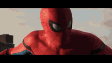 Spider Man Stare GIF - Spider Man Stare Looking GIFs