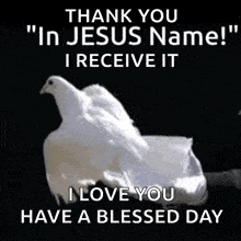a picture of a white dove with the words thank you in jesus name receive it i love you have a blessed day