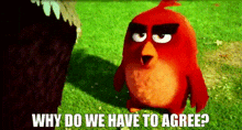 Angry Birds Red GIF - Angry Birds Red Why Do We Have To Agree GIFs
