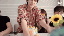 a man in a plaid shirt is holding a sunflower and cutting a cake