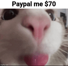 Bglamours Paypal Me 70 Dollars GIF